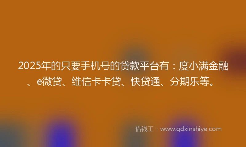 2025年的只要手机号的贷款平台有：度小满金融、e微贷、维信卡卡贷、快贷通、分期乐等。