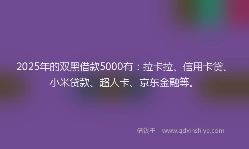 2025年的双黑借款5000有：拉卡拉、信用卡贷、小米贷款、超人卡、京东金融等。