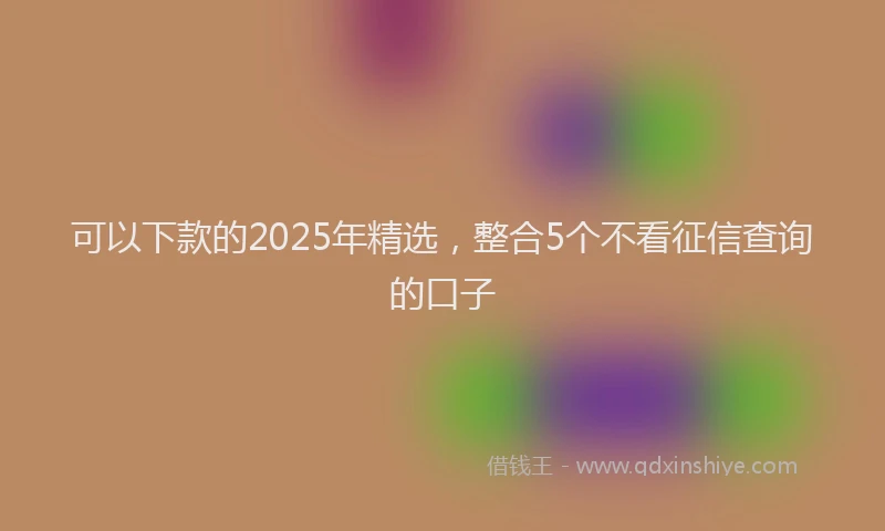 可以下款的2025年精选，整合5个不看征信查询的口子