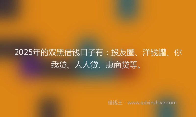 2025年的双黑借钱口子有：投友圈、洋钱罐、你我贷、人人贷、惠商贷等。