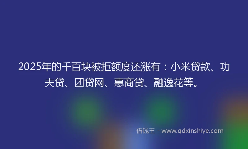 2025年的千百块被拒额度还涨有：小米贷款、功夫贷、团贷网、惠商贷、融逸花等。