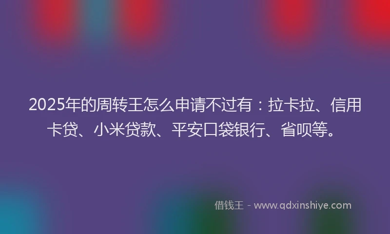 2025年的周转王怎么申请不过有：拉卡拉、信用卡贷、小米贷款、平安口袋银行、省呗等。