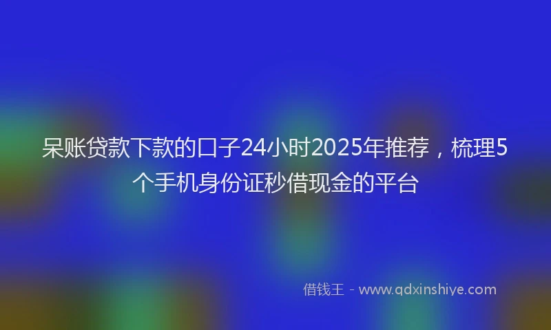 呆账贷款下款的口子24小时2025年推荐，梳理5个手机身份证秒借现金的平台