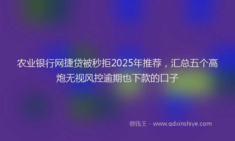 农业银行网捷贷被秒拒2025年推荐，汇总五个高炮无视风控逾期也下款的口子