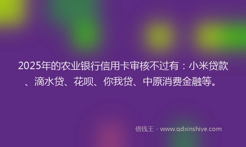 2025年的农业银行信用卡审核不过有：小米贷款、滴水贷、花呗、你我贷、中原消费金融等。