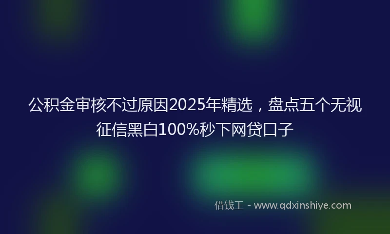 公积金审核不过原因2025年精选，盘点五个无视征信黑白100%秒下网贷口子