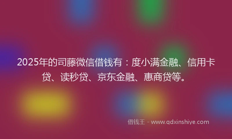2025年的司藤微信借钱有：度小满金融、信用卡贷、读秒贷、京东金融、惠商贷等。