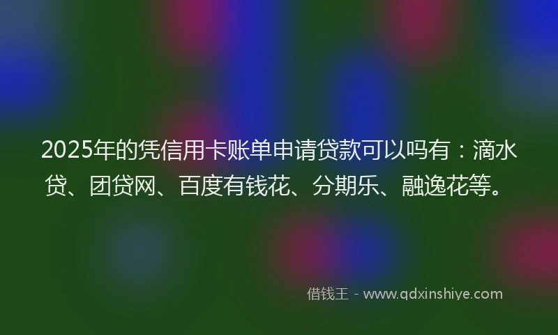 2025年的凭信用卡账单申请贷款可以吗有：滴水贷、团贷网、百度有钱花、分期乐、融逸花等。