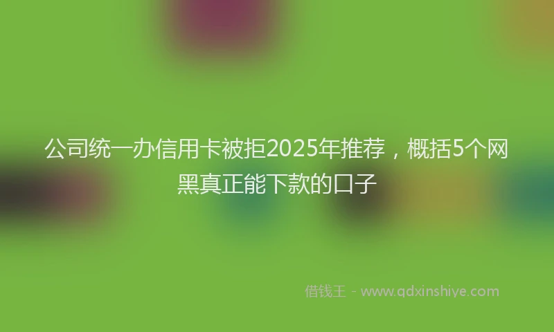 公司统一办信用卡被拒2025年推荐，概括5个网黑真正能下款的口子