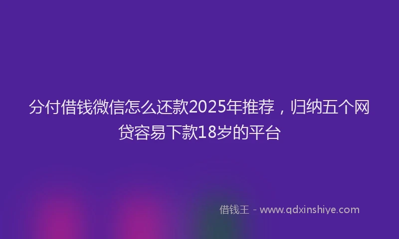 分付借钱微信怎么还款2025年推荐，归纳五个网贷容易下款18岁的平台