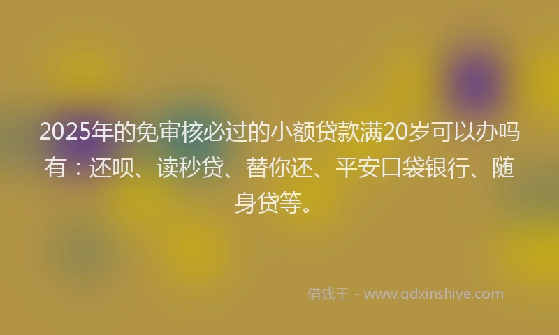 2025年的免审核必过的小额贷款满20岁可以办吗有：还呗、读秒贷、替你还、平安口袋银行、随身贷等。