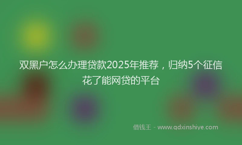 双黑户怎么办理贷款2025年推荐，归纳5个征信花了能网贷的平台
