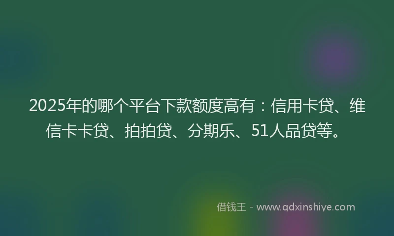 2025年的哪个平台下款额度高有：信用卡贷、维信卡卡贷、拍拍贷、分期乐、51人品贷等。