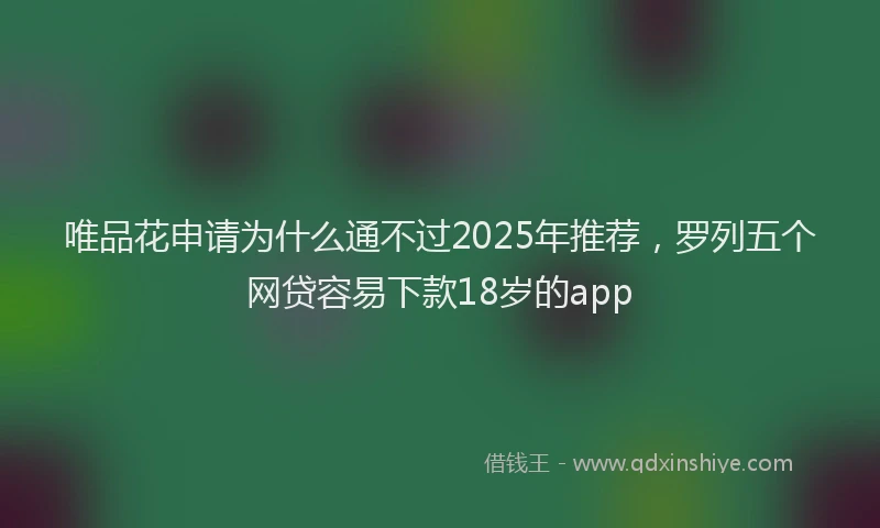 唯品花申请为什么通不过2025年推荐，罗列五个网贷容易下款18岁的app