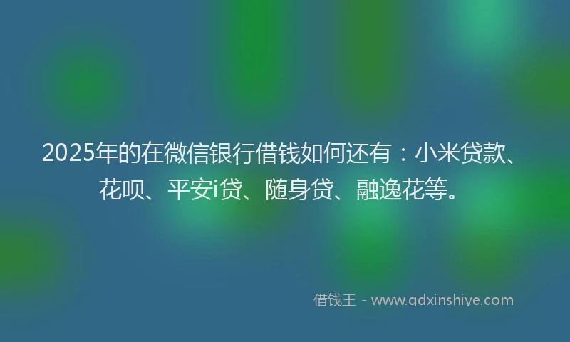 2025年的在微信银行借钱如何还有：小米贷款、花呗、平安i贷、随身贷、融逸花等。