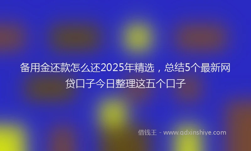 备用金还款怎么还2025年精选，总结5个最新网贷口子今日整理这五个口子