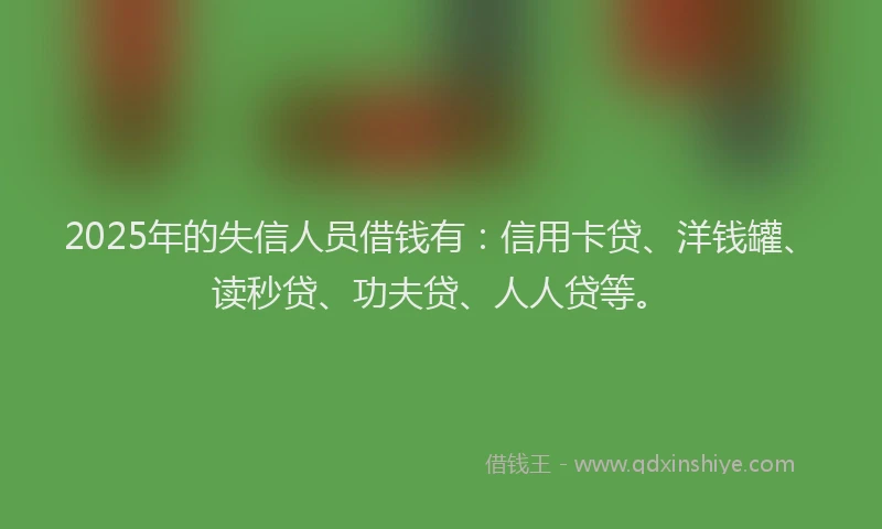2025年的失信人员借钱有：信用卡贷、洋钱罐、读秒贷、功夫贷、人人贷等。