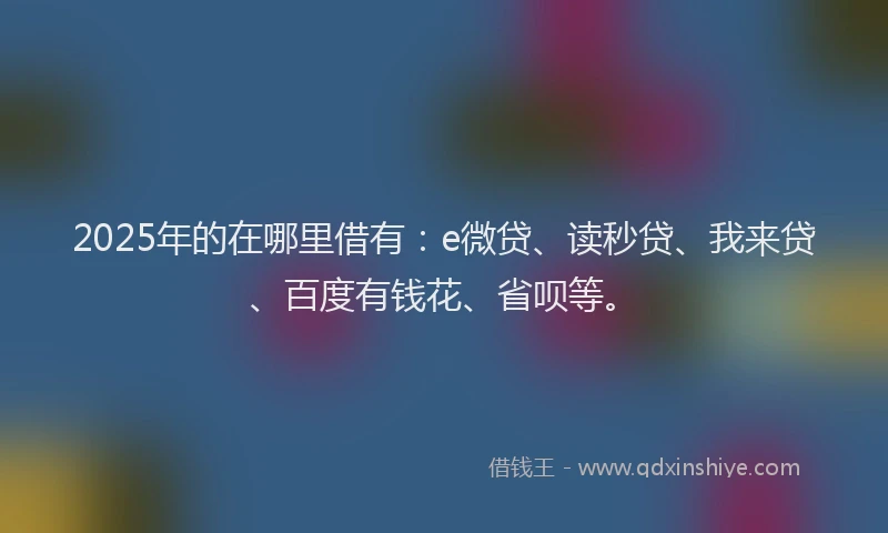 2025年的在哪里借有：e微贷、读秒贷、我来贷、百度有钱花、省呗等。