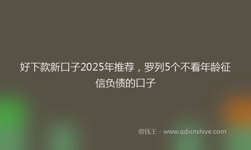 好下款新口子2025年推荐，罗列5个不看年龄征信负债的口子
