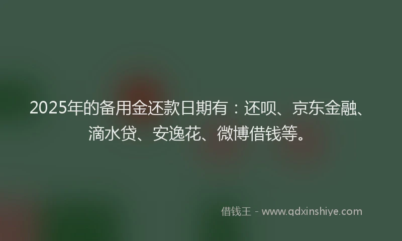 2025年的备用金还款日期有：还呗、京东金融、滴水贷、安逸花、微博借钱等。