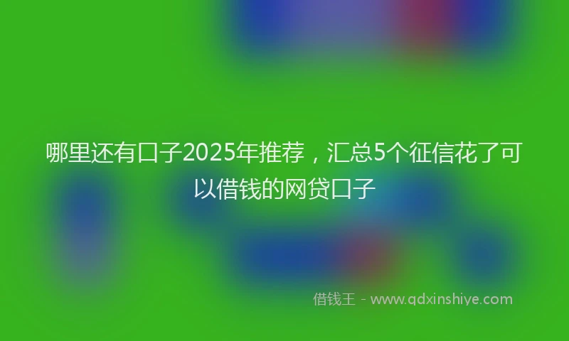 哪里还有口子2025年推荐，汇总5个征信花了可以借钱的网贷口子