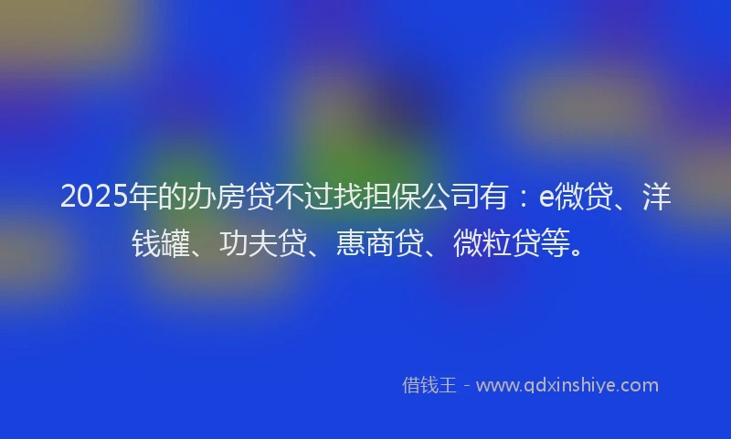 2025年的办房贷不过找担保公司有：e微贷、洋钱罐、功夫贷、惠商贷、微粒贷等。