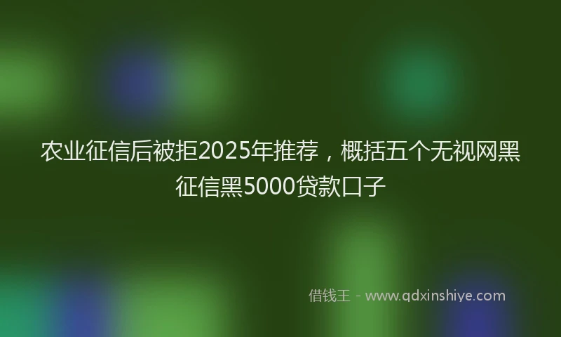 农业征信后被拒2025年推荐，概括五个无视网黑征信黑5000贷款口子