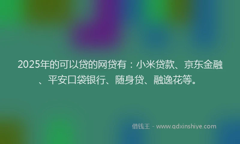 2025年的可以贷的网贷有：小米贷款、京东金融、平安口袋银行、随身贷、融逸花等。