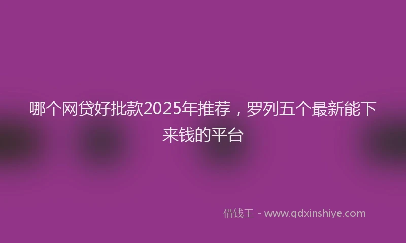 哪个网贷好批款2025年推荐，罗列五个最新能下来钱的平台
