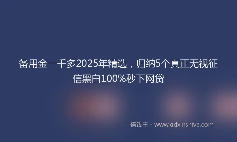 备用金一千多2025年精选，归纳5个真正无视征信黑白100%秒下网贷