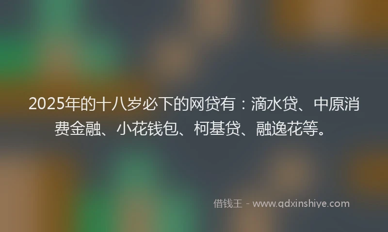 2025年的十八岁必下的网贷有：滴水贷、中原消费金融、小花钱包、柯基贷、融逸花等。