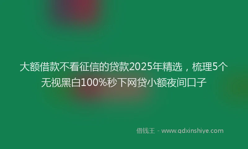 大额借款不看征信的贷款2025年精选，梳理5个无视黑白100%秒下网贷小额夜间口子
