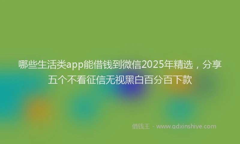 哪些生活类app能借钱到微信2025年精选，分享五个不看征信无视黑白百分百下款