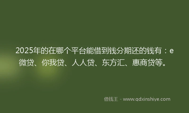 2025年的在哪个平台能借到钱分期还的钱有：e微贷、你我贷、人人贷、东方汇、惠商贷等。