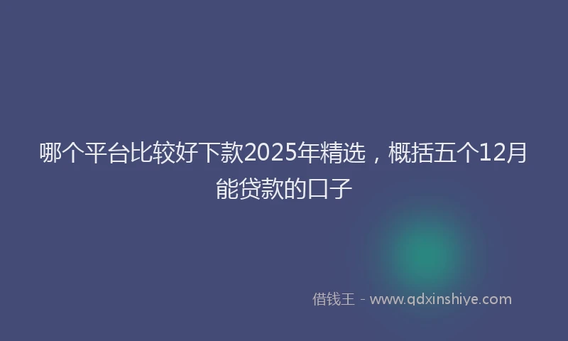 哪个平台比较好下款2025年精选，概括五个12月能贷款的口子