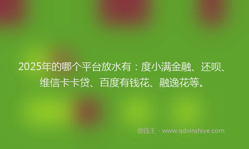 2025年的哪个平台放水有：度小满金融、还呗、维信卡卡贷、百度有钱花、融逸花等。