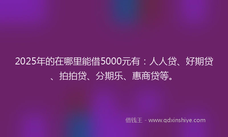2025年的在哪里能借5000元有：人人贷、好期贷、拍拍贷、分期乐、惠商贷等。