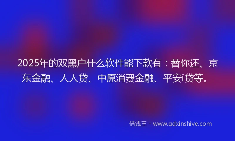 2025年的双黑户什么软件能下款有：替你还、京东金融、人人贷、中原消费金融、平安i贷等。