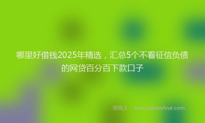哪里好借钱2025年精选，汇总5个不看征信负债的网贷百分百下款口子