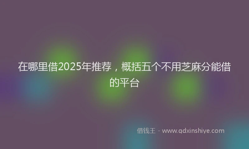 在哪里借2025年推荐，概括五个不用芝麻分能借的平台