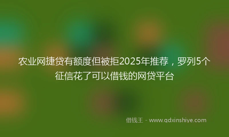 农业网捷贷有额度但被拒2025年推荐，罗列5个征信花了可以借钱的网贷平台