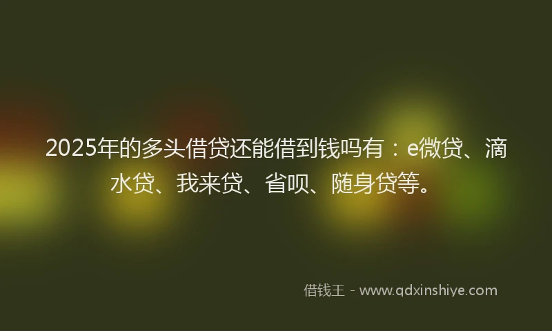 2025年的多头借贷还能借到钱吗有：e微贷、滴水贷、我来贷、省呗、随身贷等。