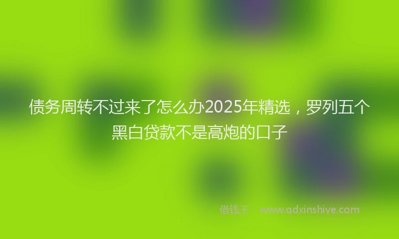 债务周转不过来了怎么办2025年精选，罗列五个黑白贷款不是高炮的口子