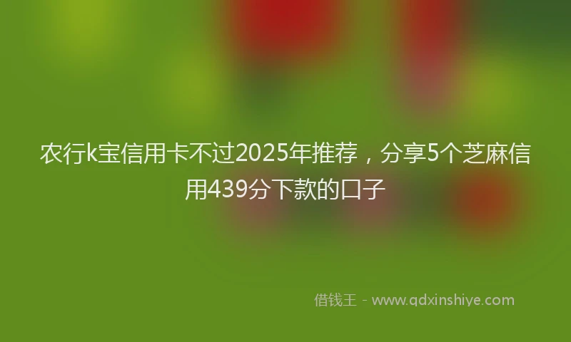 农行k宝信用卡不过2025年推荐，分享5个芝麻信用439分下款的口子
