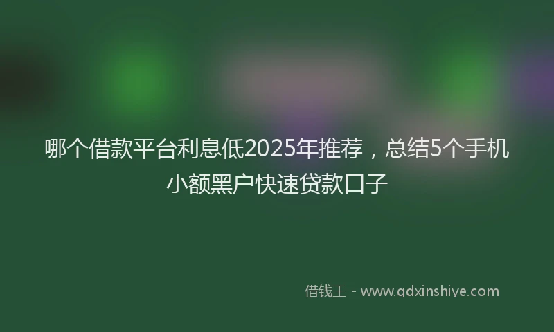 哪个借款平台利息低2025年推荐，总结5个手机小额黑户快速贷款口子