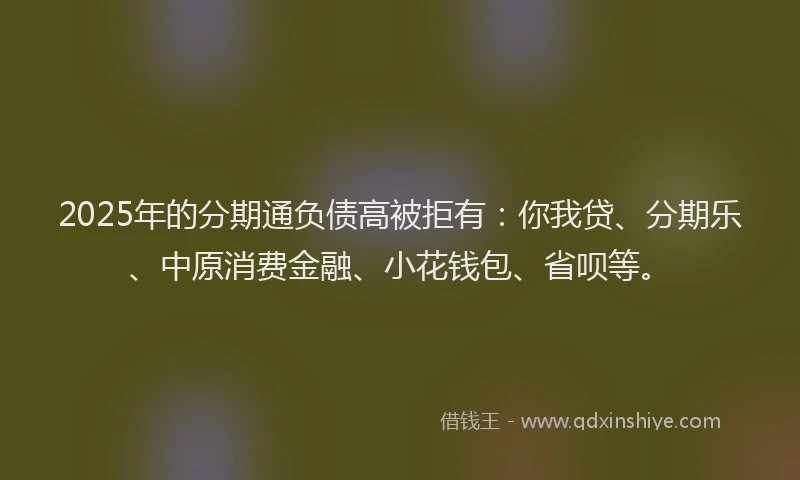 2025年的分期通负债高被拒有：你我贷、分期乐、中原消费金融、小花钱包、省呗等。