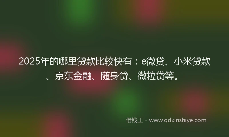 2025年的哪里贷款比较快有：e微贷、小米贷款、京东金融、随身贷、微粒贷等。