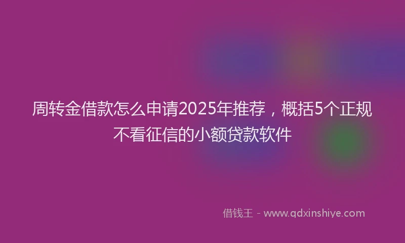 周转金借款怎么申请2025年推荐，概括5个正规不看征信的小额贷款软件