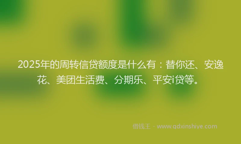 2025年的周转信贷额度是什么有：替你还、安逸花、美团生活费、分期乐、平安i贷等。