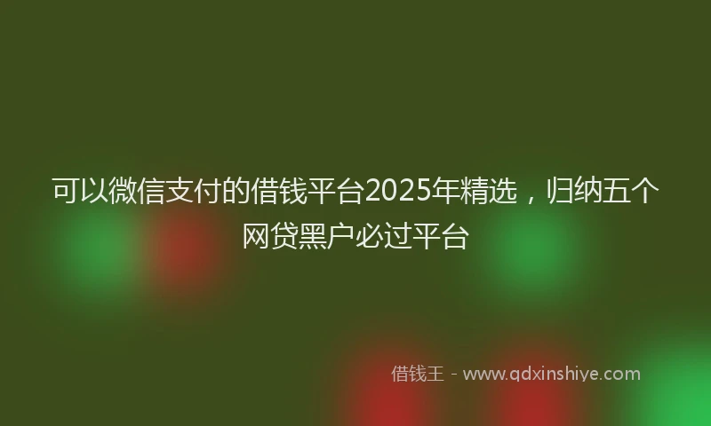 可以微信支付的借钱平台2025年精选，归纳五个网贷黑户必过平台